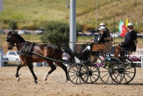 Fiera Mediterranea del Cavallo: