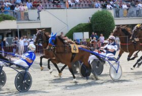 Domenica 31 maggio, all’Arcoveggio le due prove di selezione del Campionato Italiano Gentlemen e altre sei corse