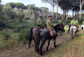 Natura a Cavallo celebra il suo XXIV Raduno nazionale a Pisa, sotto il segno di Gianco