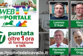 Rivedi subito la 27° puntata della WebTV