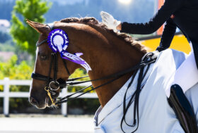 Da oggi Manzato e i fratelli Borghesi in Germania per i ‘dressage days’ di Aquisgrana