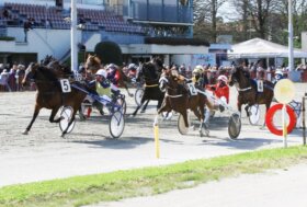 Arcoveggio: il Premio Mysunsea Tour Operator, corsa TQQ e un bel confronto per quattro anni sono i clou del convegno di giovedì 28 maggio
