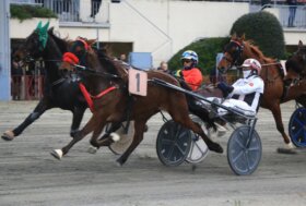 Arcoveggio: lunedì 18 maggio, otto corse. Tris in chiusura con sedici partecipanti