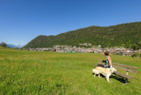 Valtellina pet-friendly: avventure a tante zampe da vivere insieme fra boschi, laghi e rifugi