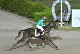Il lunedì di trotto all’ippodromo Snai Sesana, per l’ultima di giugno, facile facile per Indiana di Casei nel Premio Scuderia Red Alef                   