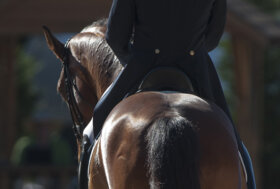 Borghesi piazzato nel ‘Future Champions’ di Hagen