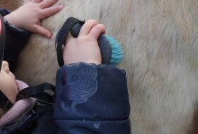 Un cavallo può cambiare una vita: