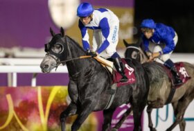 UAE President Cup a Milano: Moshrif (gr.1) e altri sette vincitori di pattern races tra gli iscritti per il 21 giugno