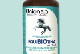 Biotina: Vitamina per zoccoli forti e mantello sano