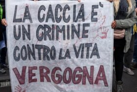 Caccia: emendamenti vergogna votati in senato!