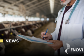 Benessere Animale: fronte comune dei medici veterinari contro l’ingresso di profili non abilitati nella Certificazione SQNBA