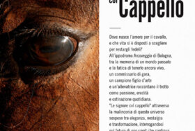 L’Arena Puccini all’Ippodromo di Bologna per la rassegna cinematografica estiva