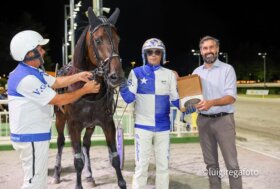 Ippodromo di Cesena: sabato sette corse all’insegna della velocità. Clou per eccellenti quattro anni