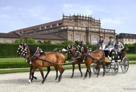 SABATO 20 e DOMENICA 21 Giugno un appuntamento unico ed imperdibile vi aspetta nell’incanto della Reggia di Venaria