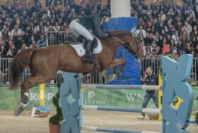 Nella mente dei cavalieri: svelati i primi risultati della ricerca sulle abilità cognitive che influenzano la performance nel salto ostacoli