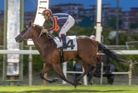 Ippodromo Caprilli: presentazione giornata di mercoledì