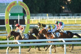 All’ippodromo Snai San Siro bel sabato di galoppo in notturna con Vega Dawn e Badger’s Cove