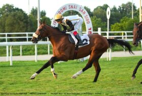 All’ippodromo Snai San Siro il super martedì con due listed incoronano niente scuse nel premio Giuseppe De Montel e Give You My Love nel Mantovani