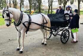 Attacchi: Una Première di Qualità