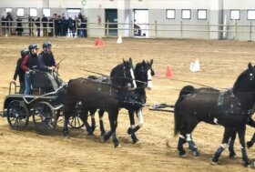 Attacchi: Sportattacchi Indoor al via