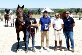Sport equestri e allevamento: i risultati della rassegna sarda dei puledri di 2 e 3 anni